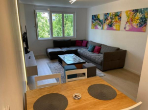 Apartment Sarajevo Center A